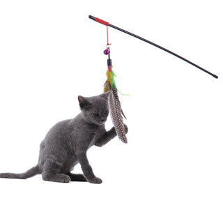 High Quality Feather Catcher Teaser