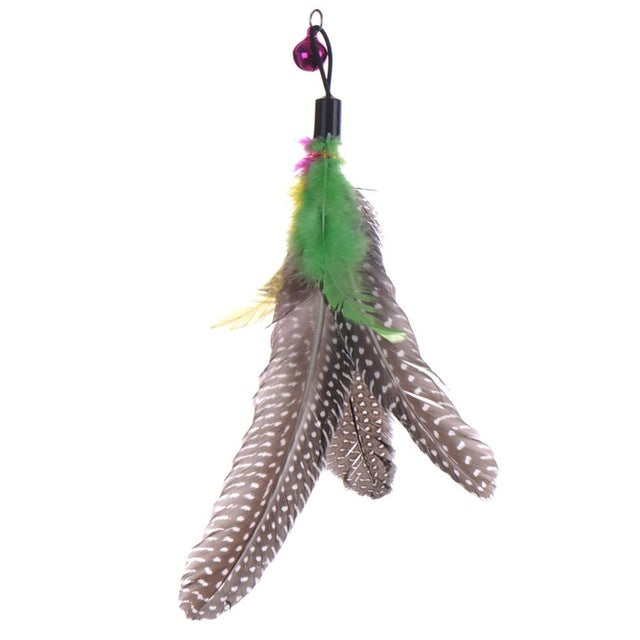High Quality Feather Catcher Teaser