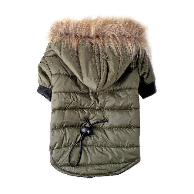 Pet Winter Coat