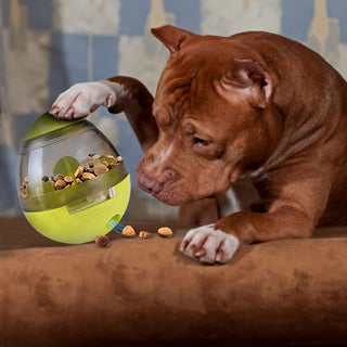 Interactive Pet  IQ Food Ball