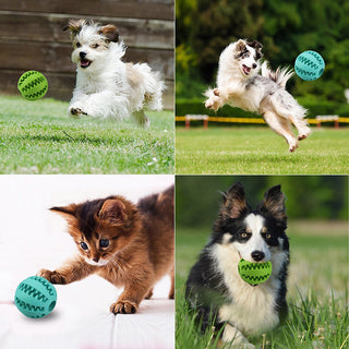 Extra-tough Rubber Interactive Ball