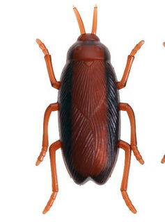 Interactive Electronic Insect Training Toy