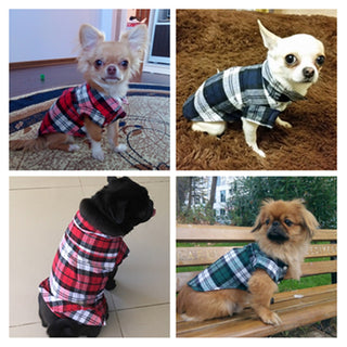 Summer Plaid Dog Clothes