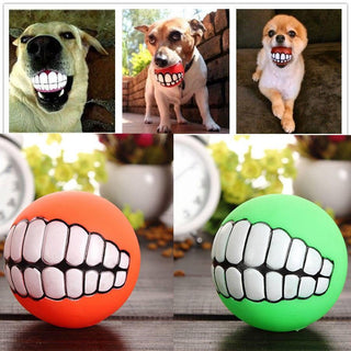 Funny Pet Fetching Squeak Toy