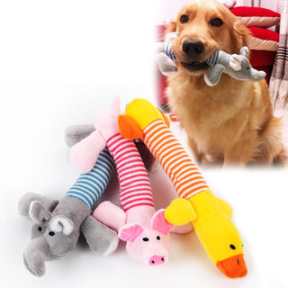 Pet Bite Chew Toys